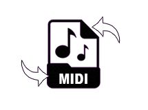 Midi